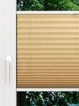 LYSEL HOME Plissee 225A Aralia Fensteransicht